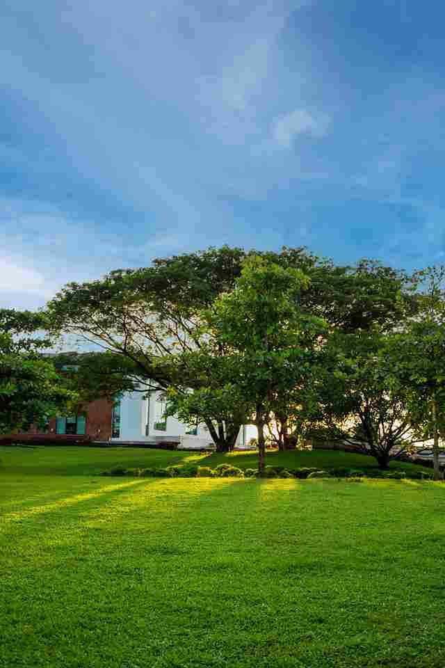 GIM Goa Campus photo 22